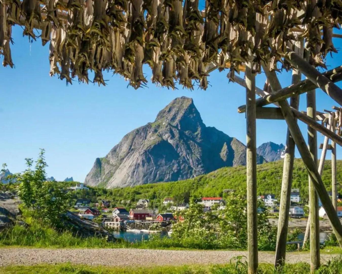 Madelhea Cabin- Seaview Lodge Reine Bagian luar foto